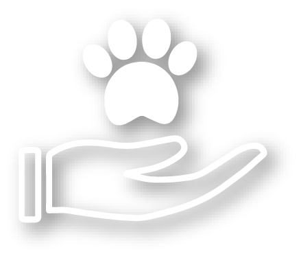 icona sezione pet therapy
